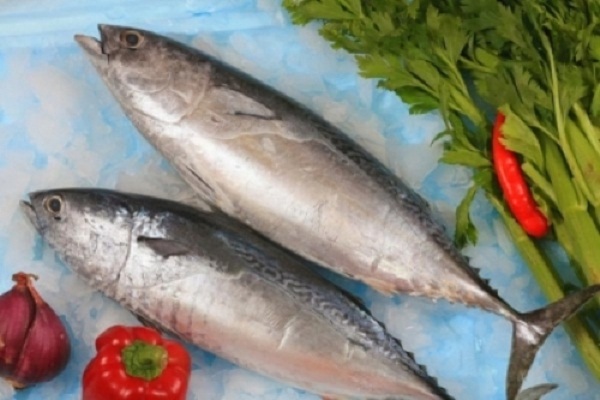 cá biển thông dụng