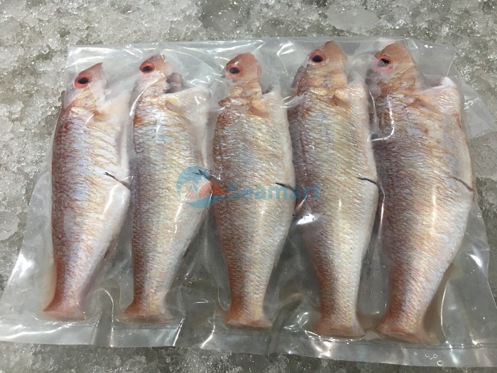 cá biển tươi sống
