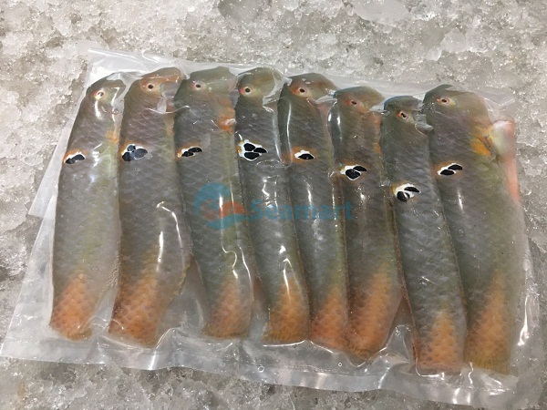 ca mo cá mó seamart