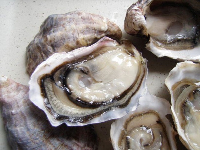 cách chọn hàu tươi sống