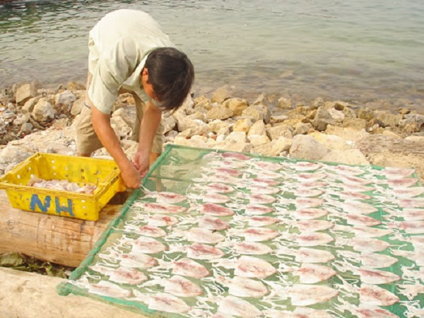 cách phơi mực 1 nắng