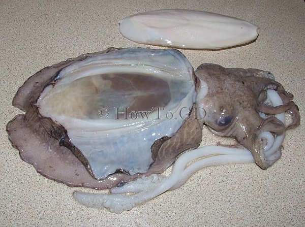 cách sơ chế mực nang