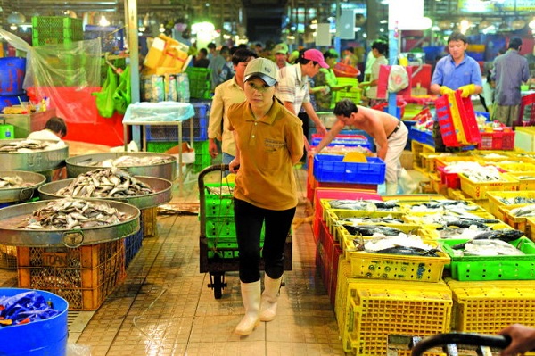 cho dau moi binh dien