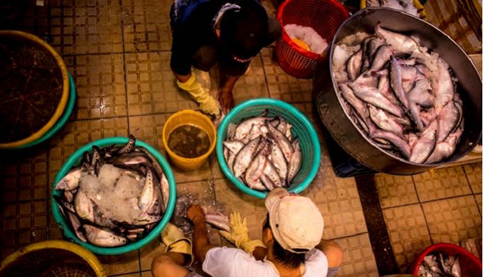 chợ đầu mối sài gòn