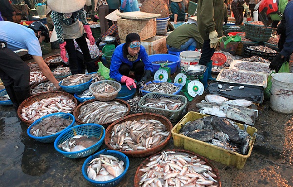 Chợ hải sản hà nội