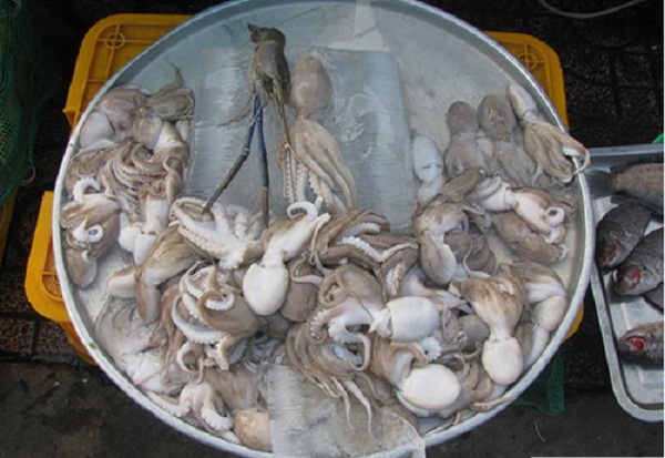 chợ xom chieu