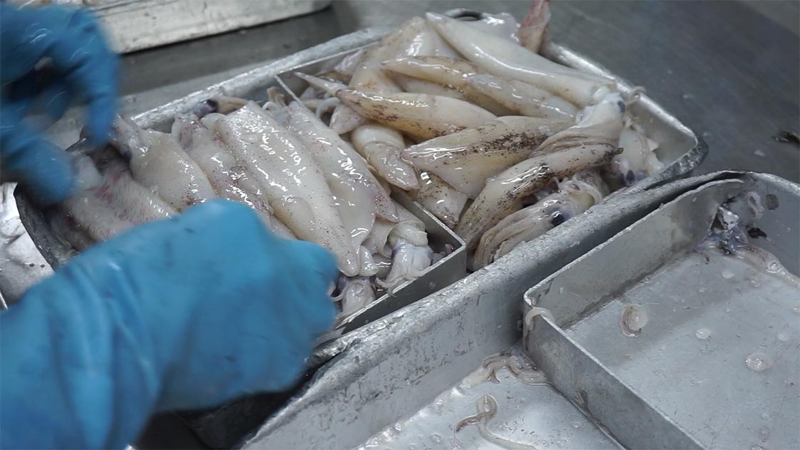 Xếp Mực ống vào khuôn chuẩn bị cấp đông