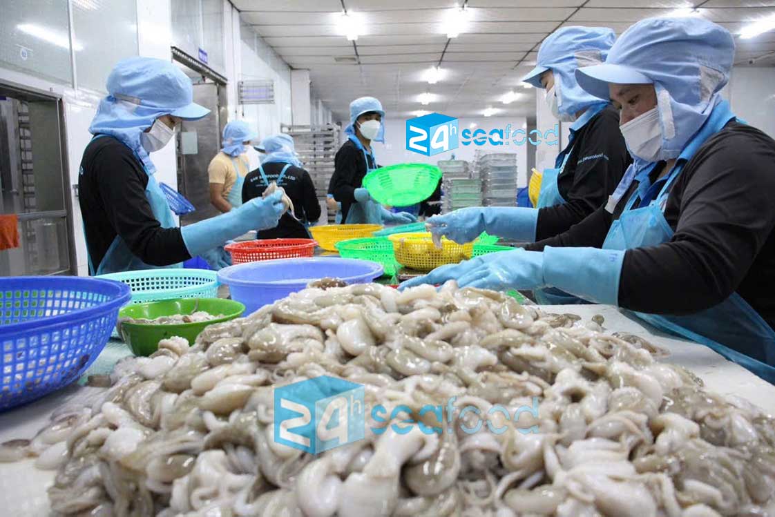nguyên liệu (thủy sản và hải sản) được đưa vào nhà máy 24hseafood để chế biến
