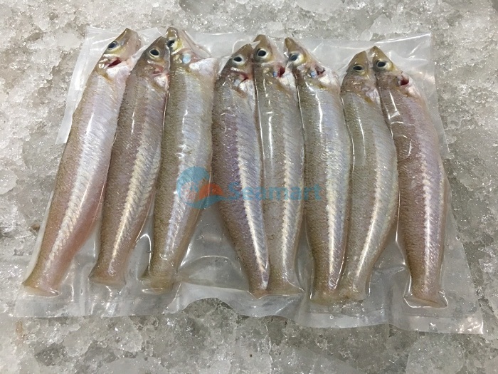 cung cấp cá biển tươi ngon