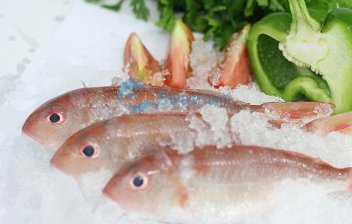 cung cap ca bien tuoi phan thiet cung cấp cá biển tươi phan thiết