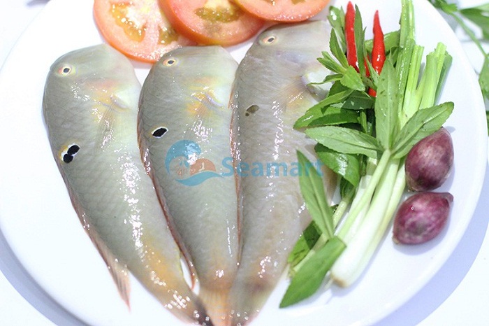 cung cấp các loại cá biển