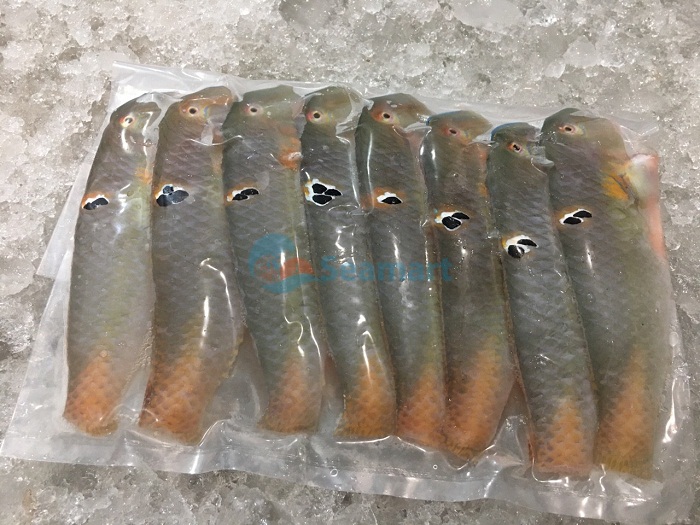 cung cap cac loại ca bien cung cấp các loại ca bien