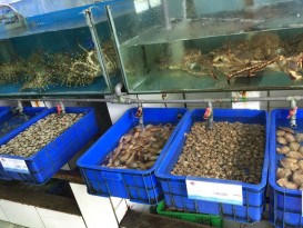 cung cap hai san