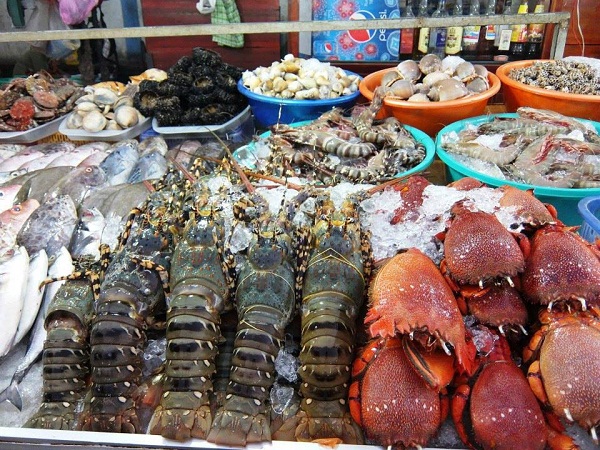 cung cấp hải sản tươi sống tại hà nội