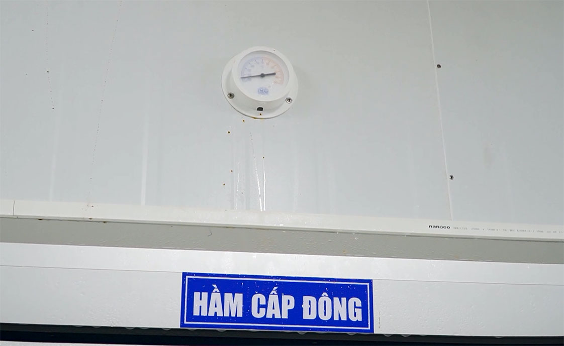 hầm cấp đông tiêu chuẩn IQF của nhà máy 24hseafood