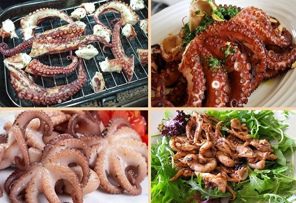 dinh dưỡng từ bạch tuộc