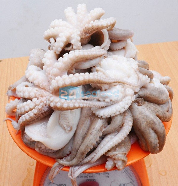 giá bạch tuộc hôm nay