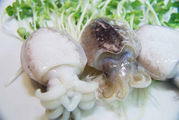 giá mực nang hôm nay