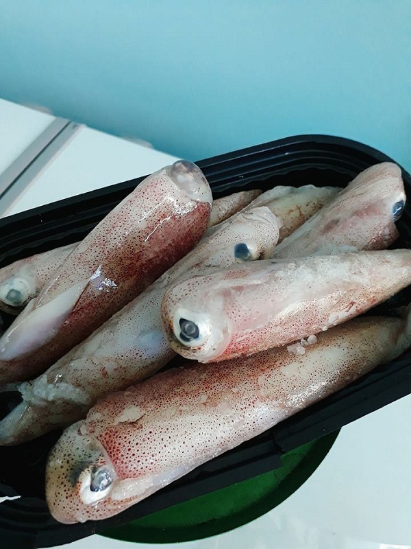 giá mực ống đông lạnh