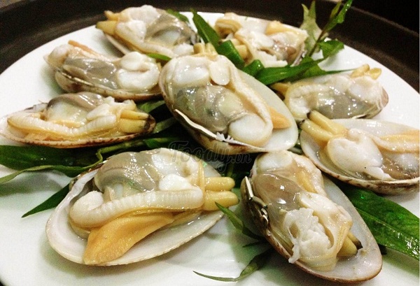 hả sản biển đông