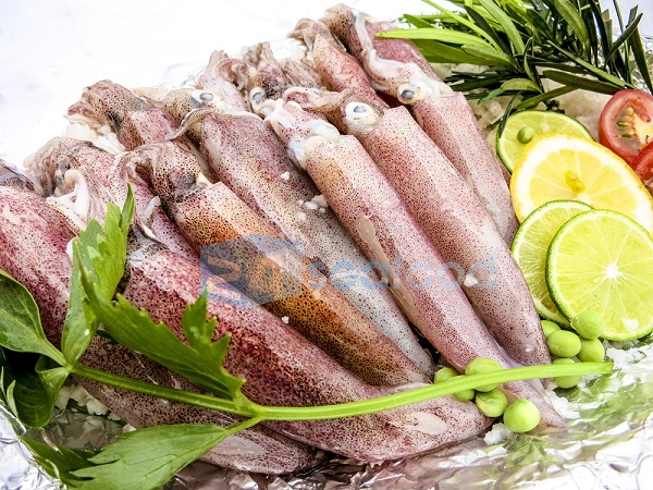 hải sản đông lạnh giá sỉ mực ống tươi ngon là 1 trong những sản phẩm cốt lõi của 24hseafood
