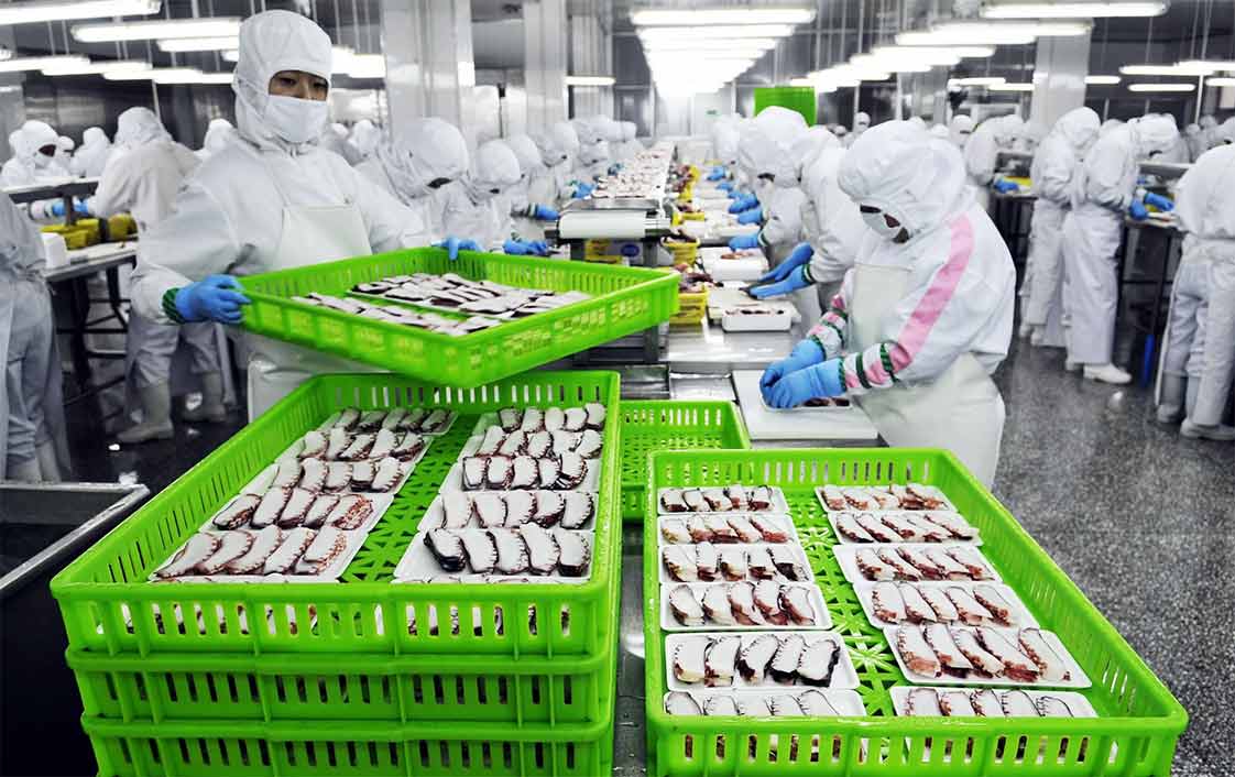 trong 1 nhà máy chế biến hải sản đông lạnh nhập khẩu