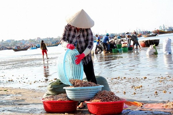 hai san phan thiet