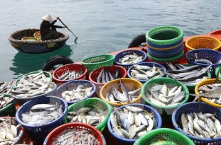 haisanphuquoc