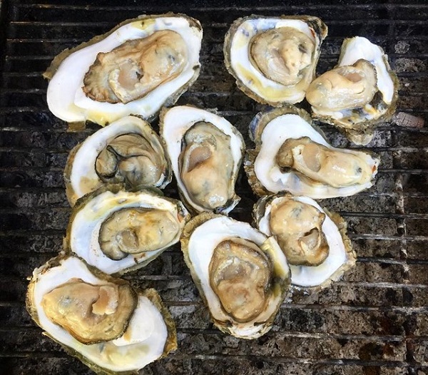 hàu