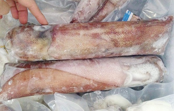 muc la song muc-la-song