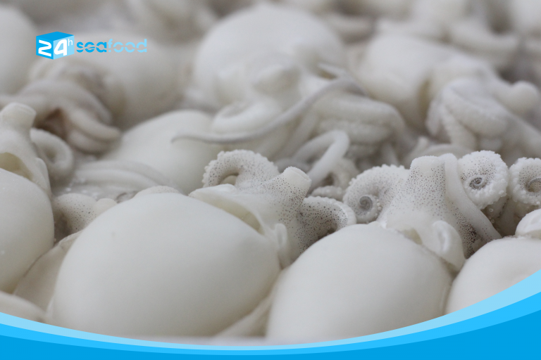 mực nang cấp đông 24h seafood