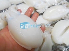 muc nang mực nang đông lạnh