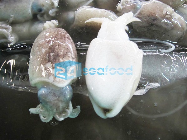 muc nang nguyen lieu