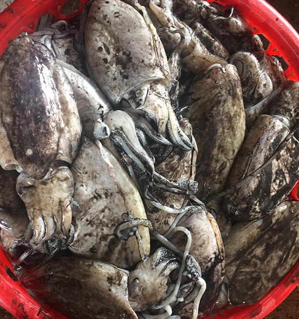 muc nang nguyen lieu4