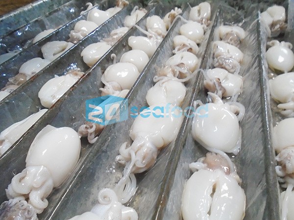mực nang làm sạch, cấp đông rời