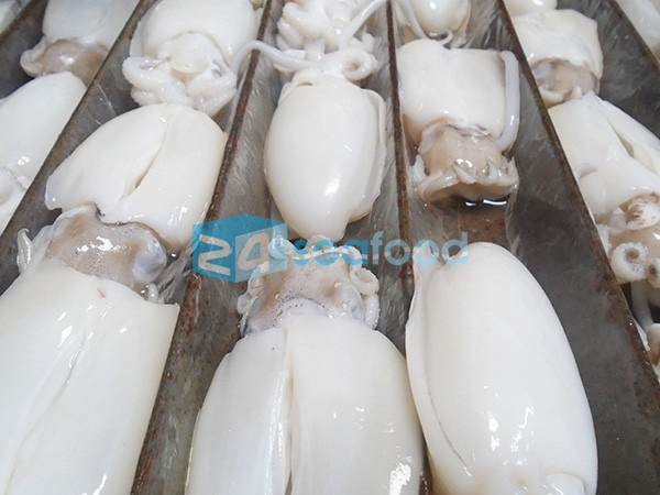 mực nang đông lạnh tại xưởng
