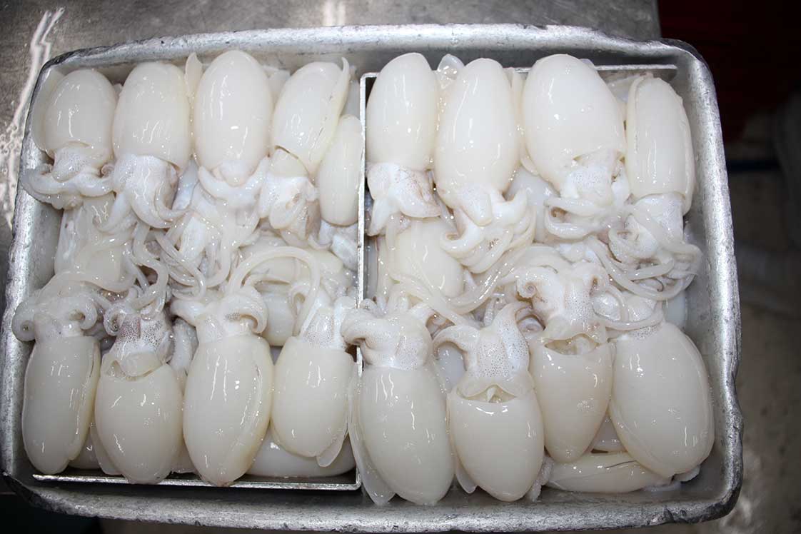 nguyên liệu tươi mực nút đông lạnh trước khi cấp đông