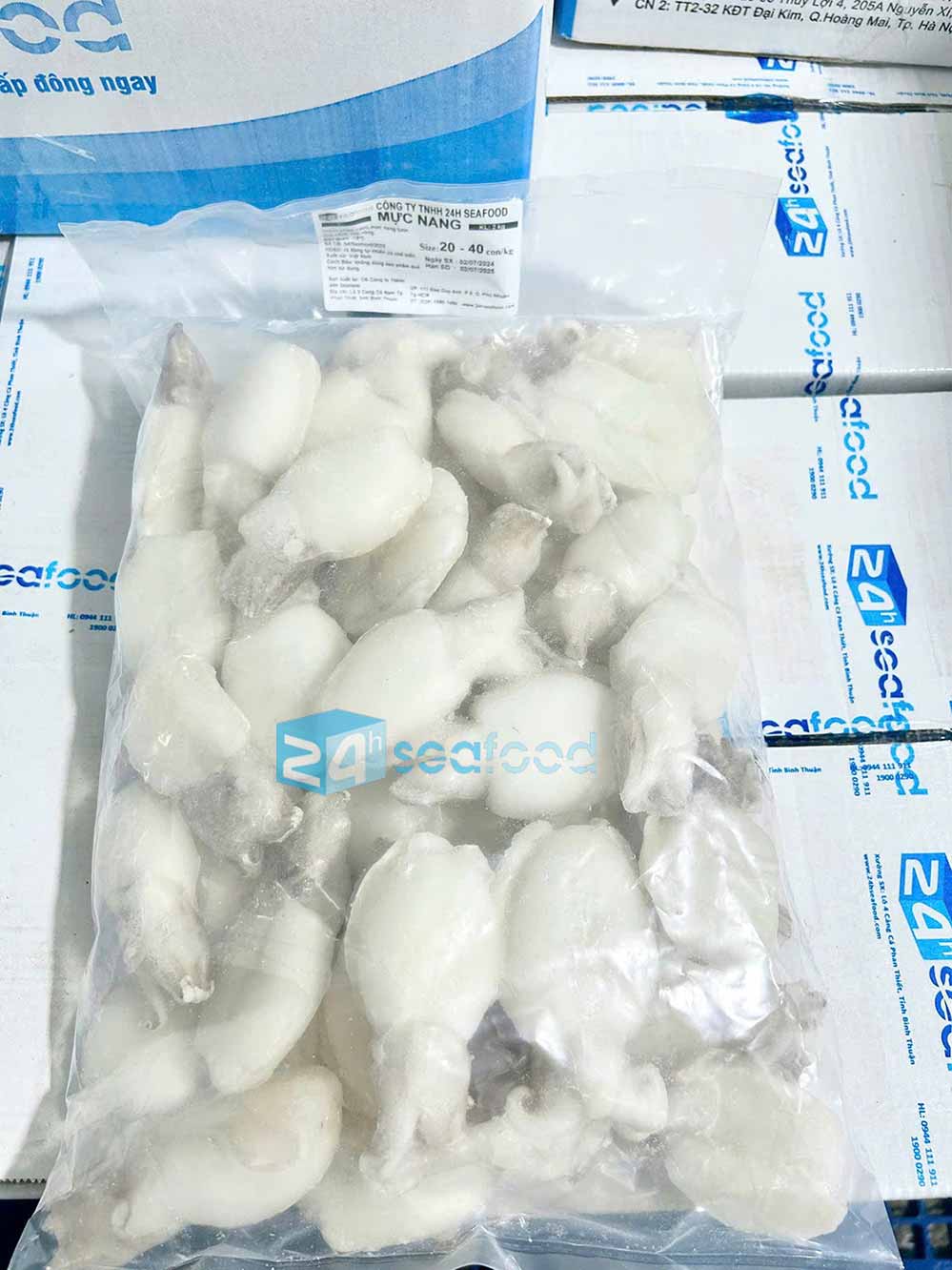 sản phẩm mực nang đông lạnh (mực nút đông lạnh) chuẩn IQF của nhà máy chế biến hải sản 24hseafood