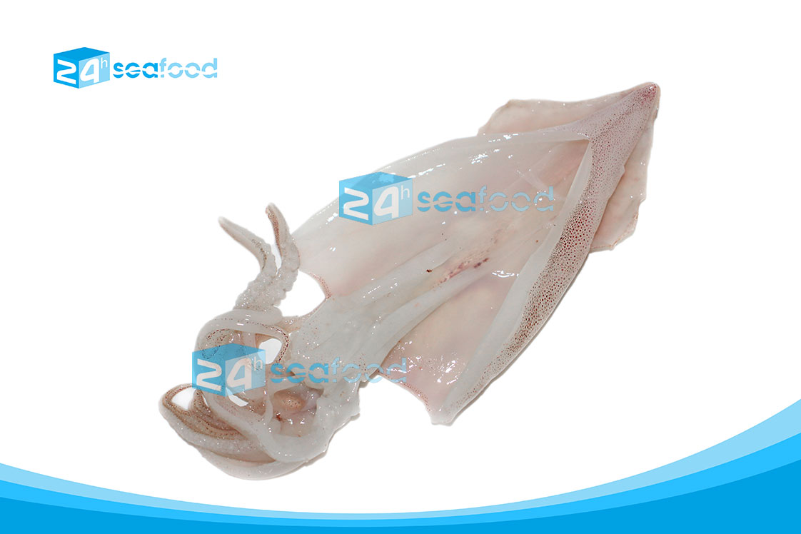 mực ống xẻ đông lạnh 24hseafood