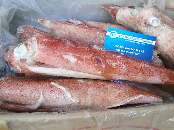 mực ống 24h seafood mực ống