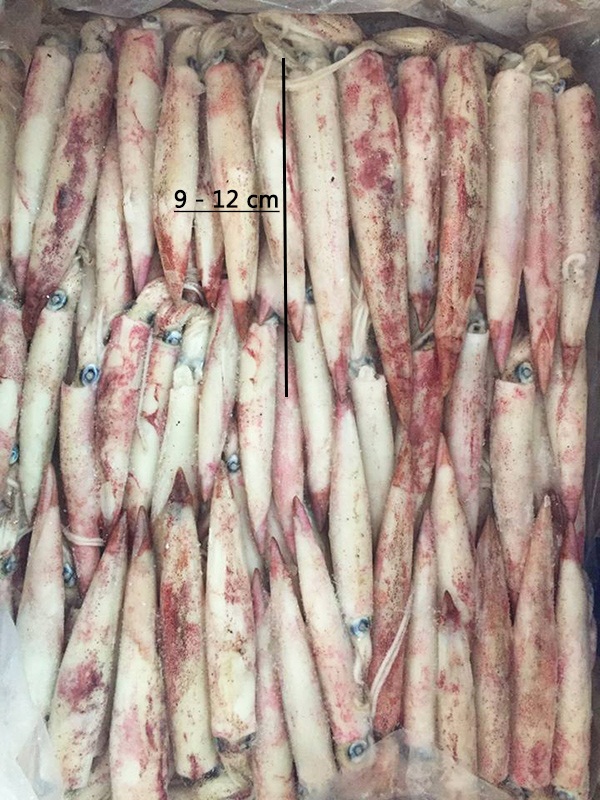 mực trứng a2 bánh