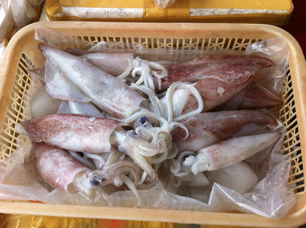 mực tươi
