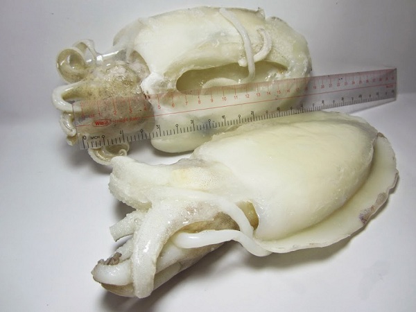 mực nang làm sạch nang-sua