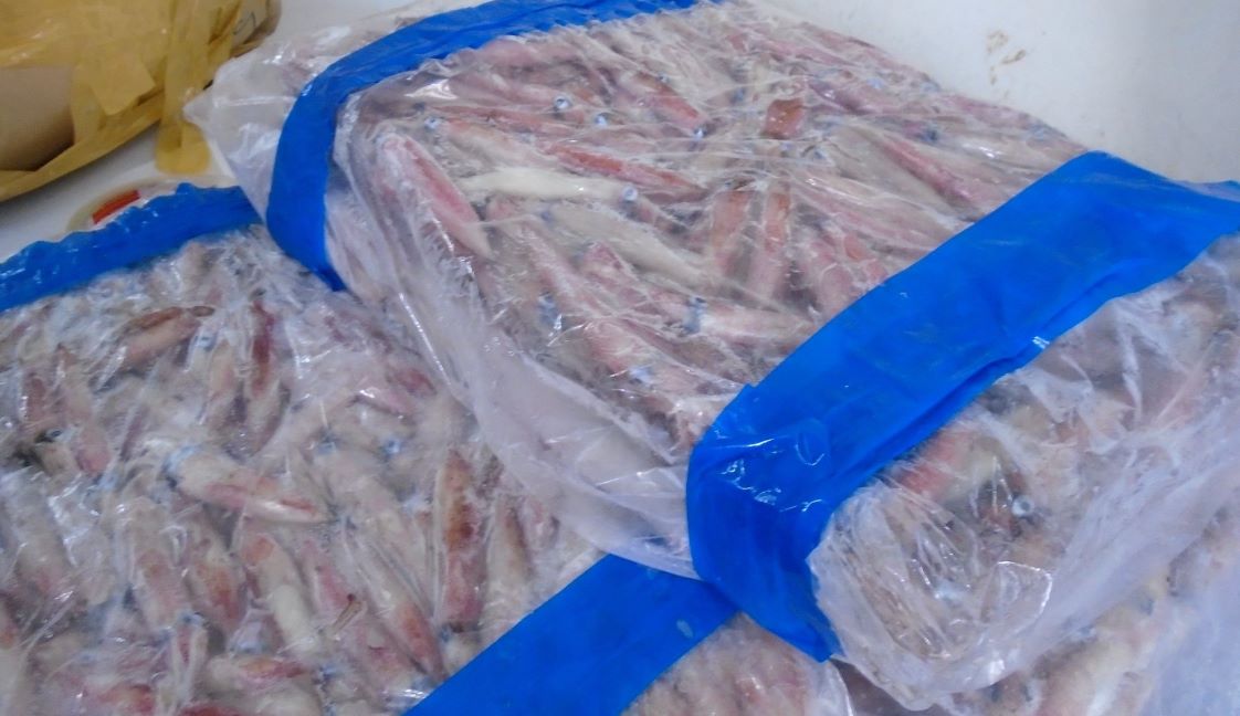 mực ống đông lạnh block