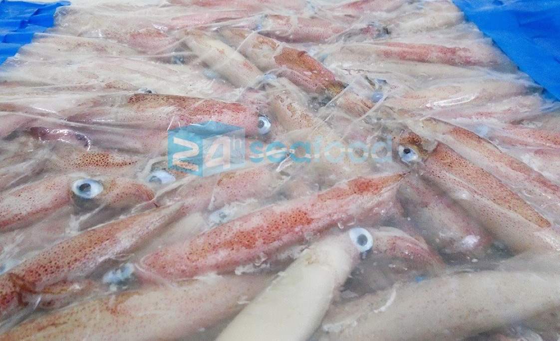 mực ống cấp đông theo block