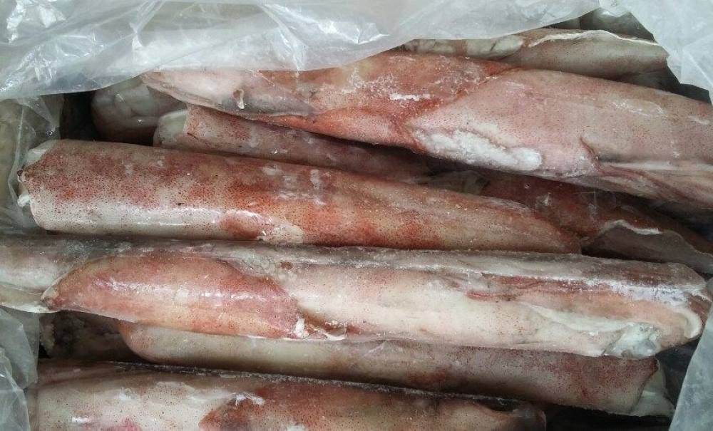 mực ống đông lạnh IQF