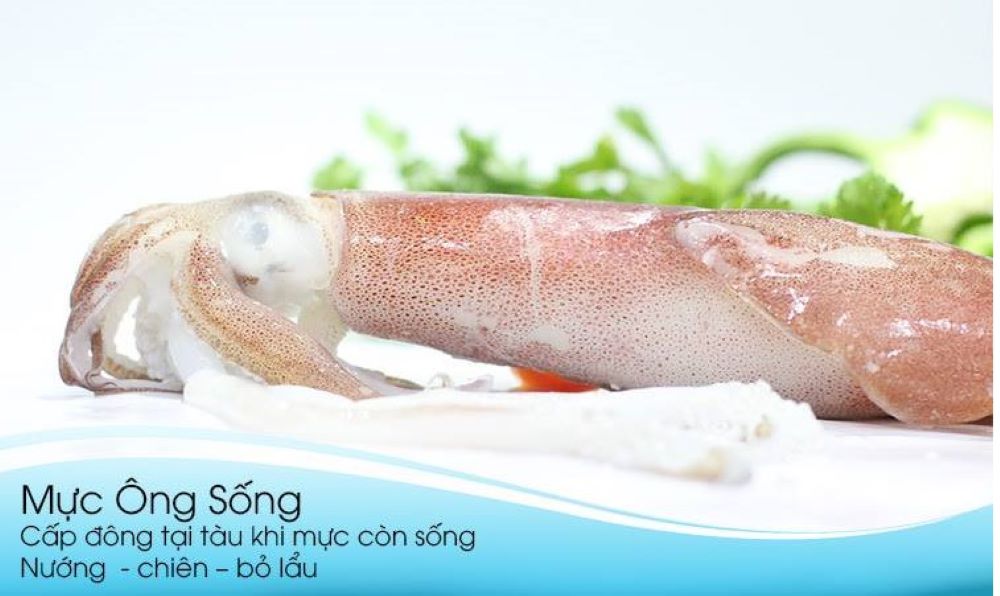 mực ống đông lạnh ngon chất lượng cao