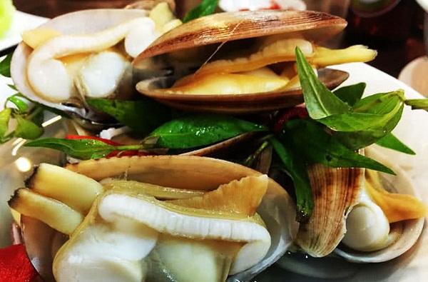 ngao 2 cồi hấp