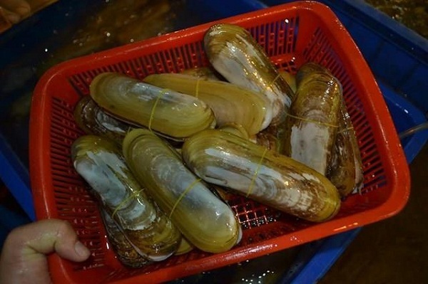 ốc móng tay