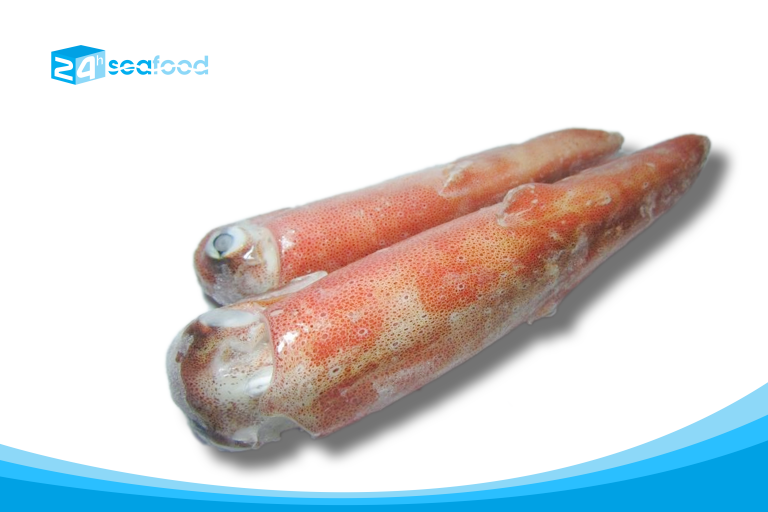 mực ống cấp đông 24h seafood